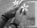 TODO LO QUE HAGO....wmv