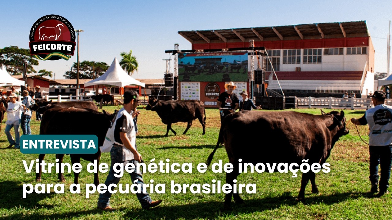 Feicorte 2026 prepara agenda para maximizar os negócios para a pecuária
