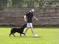 Saltire obedience Saltire obedience