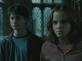 Harry Potters Mistake