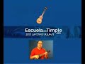 www escueladetimple com