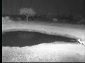 7.22.07 9.10pm Reedbuck at the waterhole