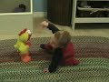 Elmo Chicken Dance Elmo Chicken Dance