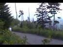 Clingmans Dome Smokey Mountain Trail