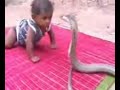 durchgeknallte araber