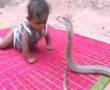 durchgeknallte araber