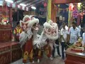 Lion Dance