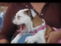 Rick & The Retards - JENNIFER (Video Re-Shoot)