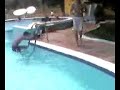 Clavadistas Olimpicos