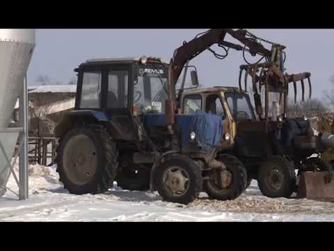 Открытие семейной животноводческой фермы в с. Ермолово Касимовского района (ТКР)