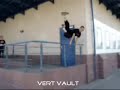 ver valute ver valute
