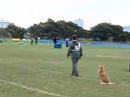 JKC Sports Agility2