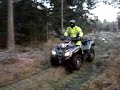 Skogsk�rning inf�r G�tapokalen