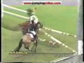 Poneys & Chevaux de CSO célèbres