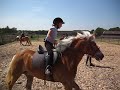 paardrijles in galop paardrijles in galop