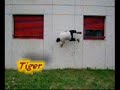 parkour tetouan