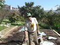 Veggie Gardener part 1