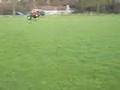 TRUCKS-RaCe-JuMp-CrA