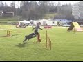 Agility Sendy - Loket 07 1