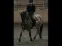 Vipper