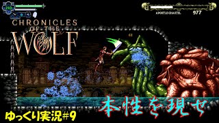 クロニクルズ・オブ・ザー・ウルフ】＃9「衝撃の観劇」 - 偏った趣味