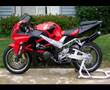 motorsiklet tutkusu