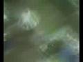 assai de l'airow-gun