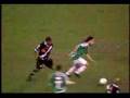 PALMEIRAS CAMPE�O