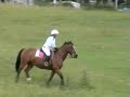 Cross Country Show