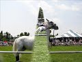 Presenting Hermans Own Royal Lipizzaner Stallions