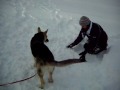 Dogbook Movie: Tessie in the Snow
