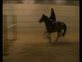 videos de Enigma van het merelhof BWP DARCO 29 10 08