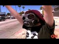 CNN : Anonymous / Chanology