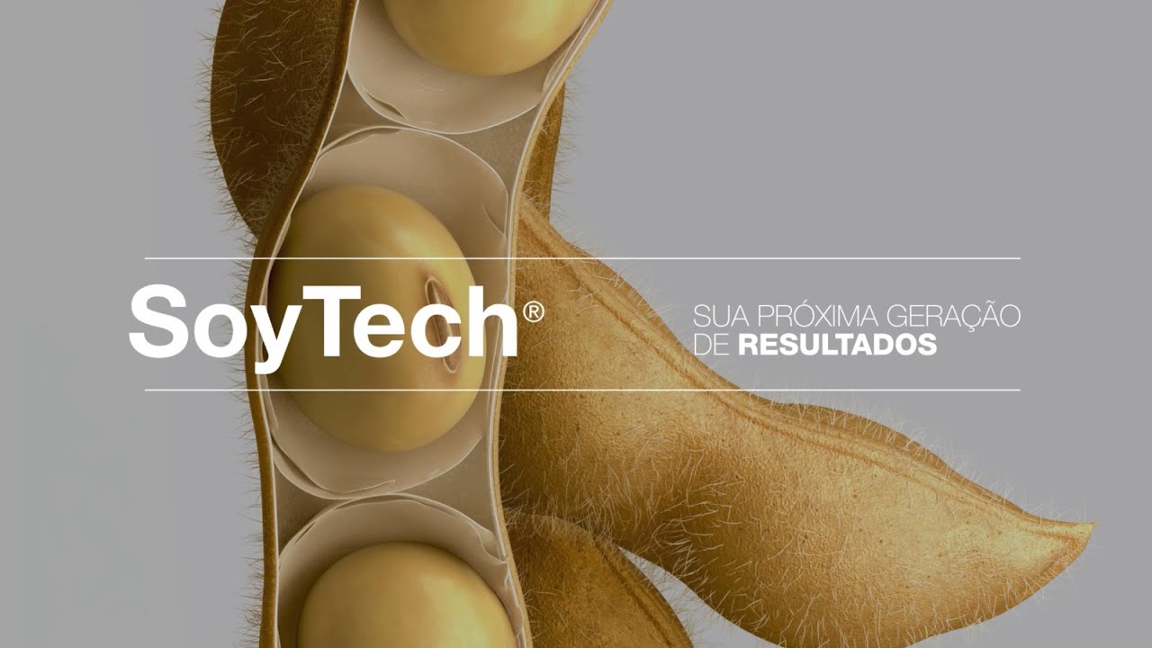 SoyTech® – Sua próxima geração de resultados | BASF Soluções para Agricultura