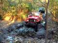 Rob, please, do not go into the mud hole!