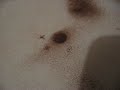 Cymatics - Violent Spot Cymatics - Violent Spot