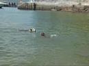 0726@Swimming at Lamma Island-1