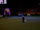Crufts 2008 - Heelwork to Music Competition 6 (2)