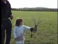 Visuallink.co.uk Yarak Birds of Prey