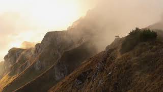 <h5>ŽIVOT V OBLACÍCH I LIFE IN THE CLOUDS </h5>