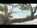 Samui\