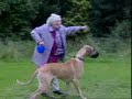Videos graciosos - Abuela y perro