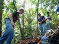 Curso de coleta de sementes na floresta: escalada em árvores Curso de coleta de sementes na floresta: escalada em árvores
