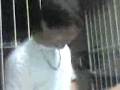 videos de dava por um milhao - casa do marcelo 26/10/2008
