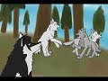 100 Subscribers Wolf Province Preview