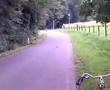 Sprint tomos