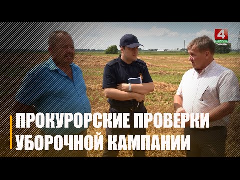 Прокуратура Гомельской области проводит мониторинг уборочной кампании видео