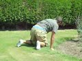 Hedge hopping