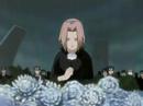 To Be Hokage - Sandaime Tribute
