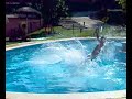willy 2 willy 2